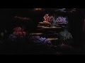 Finding Nemo FULL RIDE Disney World 2016