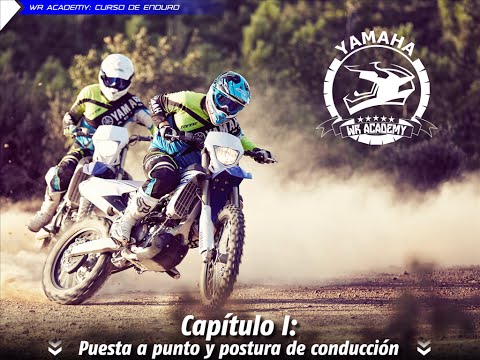 Video de YouTube