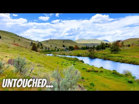 The RAREST Opportunity in Fly Fishing