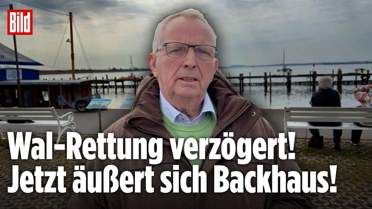 Wal-Drama in der Ostsee: Rettung des Buckelwals verzögert sich! Minister Till Backhaus äußert sich!