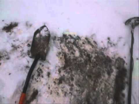 Moje Wykopki Odc. 169 (SE02 E69)