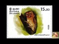 Serendib Scops Owl Audio