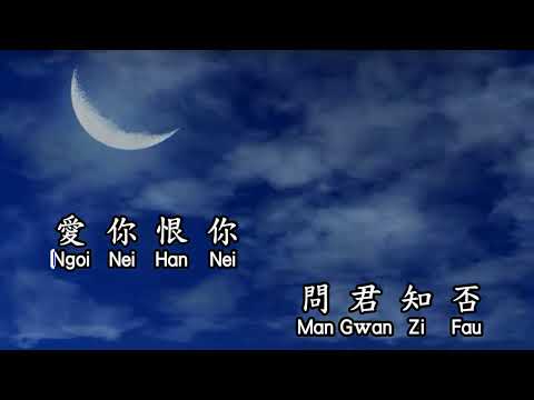 Cantonese  劉德華 Andy Lau  上海灘 shang hai tan