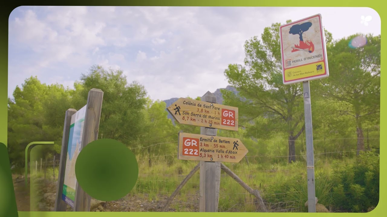 Adquisición de la finca Es Canons