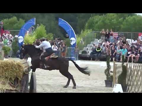 Working Equitation World Championship 2022 in les Herbiers speed test Filipe Gilberto on ZINQUE