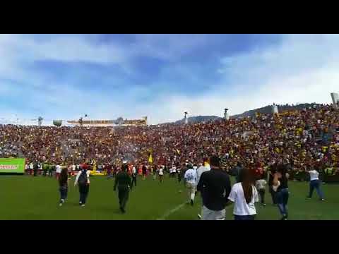 "Â¡Apoteósico recibimiento a los campeones!" Barra: Revolución Vinotinto Sur • Club: Tolima