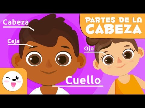 Las partes del cuerpo - La cabeza - Vocabulario para niños