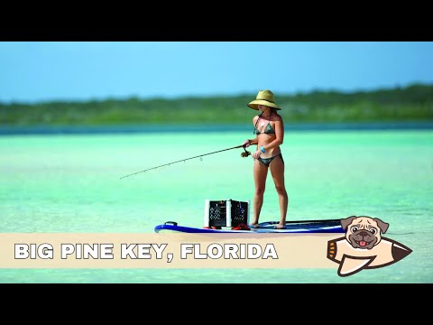 Tides Big Pine Key