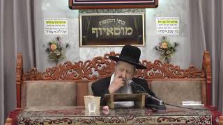 הרב בן ציון מוצפי • בית הכנסת מוסאיוף (הרב בן ציון מוצפי) - התמונה מוצגת ישירות מתוך אתר האינטרנט יוטיוב. זכויות היוצרים בתמונה שייכות ליוצרה. קישור קרדיט למקור התוכן נמצא בתוך דף הסרטון