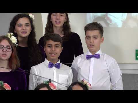 Dynamis: Swing Low,  Branceni - iun 2022