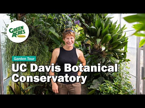 Tour of the UC Davis Botanical Conservatory