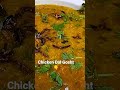 Chicken Dal Gosht