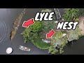 Lyle The Nile Crocodile Is Going To Be A DAD