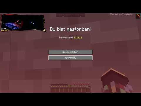 LETSHUGO TÖTET BIENE UND BEKOMMT INSTANT KARMA (CraftAttack 9)