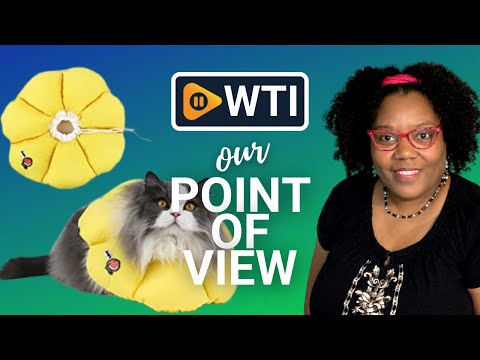 HiDREAM Cat Cone Collars - WTI product video review