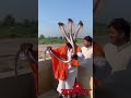 Shiv Bam Music Dj Song Bollywood Religion Trend Trebdingsong Tondegamer Remix