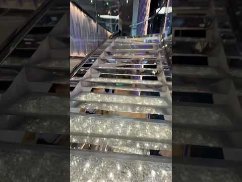 Thumbnail for #msc #mscseashore #msccruises #fallintoshorts