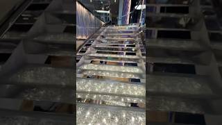 #msc #mscseashore #msccruises #fallintoshorts