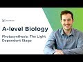 Photosynthesis: The Light Dependent Stage | A-level Biology | OCR, AQA, Edexcel