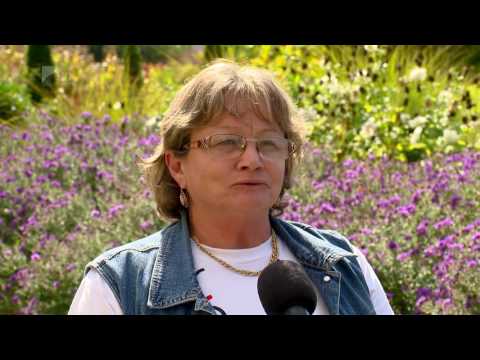 Megyejáró, Nyírcsászári 2016. - Kölcsey Tv