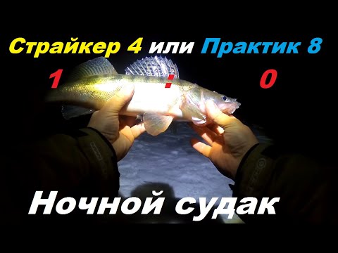 Ловля судака с эхолотом практик 8/летние точки зимой/как найти?