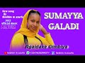 Sabuwar wakar Ibrahim m azurfa | sumayya galadi agaidake Gimbiya 2022 official music