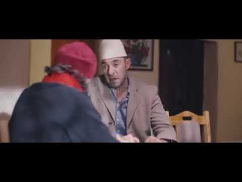 Stupcat - 2019 Exheli