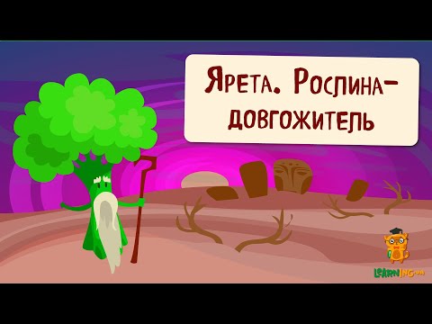 🍀 Дива природи. Явища навколо нас. Майже вічна Ярета 🌏