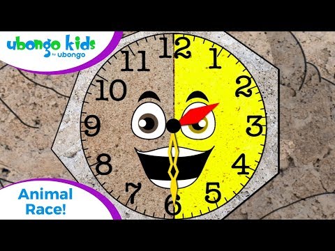 Full Episode #14: Animal Race | Ubongo Kids | Educational Cartoons from Africa