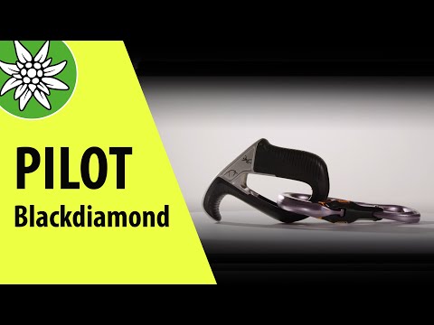 ATC Pilot von Black Diamond | Sicherungsgeräte