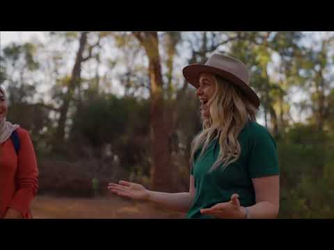The Hike Collective