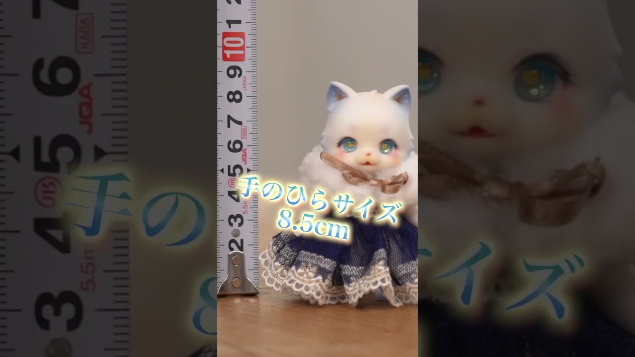山猫座に憧れる子猫ドール#ドール #bjd
