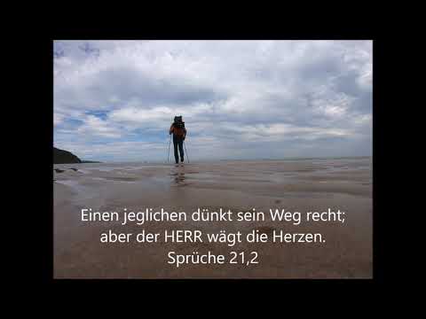 Wegerecht / wer hat Recht?