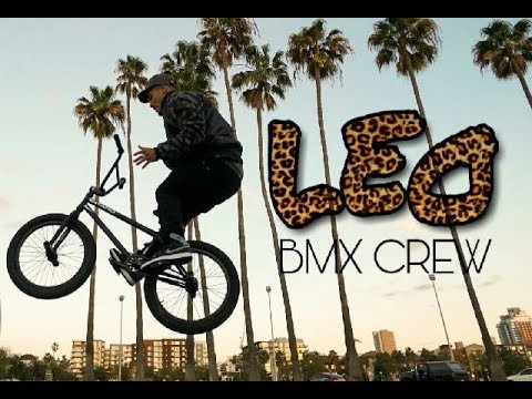 CHAD KERLEY - BMX 2017-2018