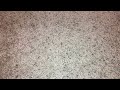 A VHS Tape I M Redoing The Normal And Long Opening And Closing 10 18 2022