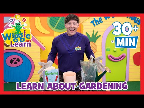 Gardening for Kids 🌱 Learning About Plants with The Wiggles 📚 Wiggle and Learn