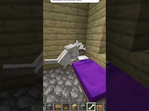 JAK ZROBIĆ DRZWI DLA PSA W MINECRAFT! #shorts