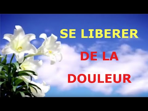 comment augmenter ces globules blancs