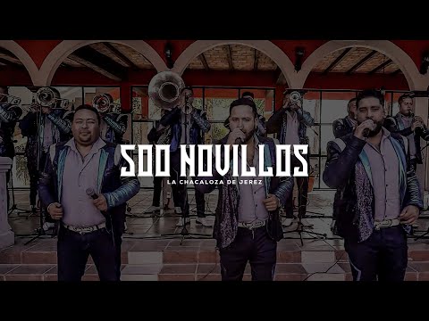 Banda La Chacaloza de Jerez - 500 Novillos (En Vivo)