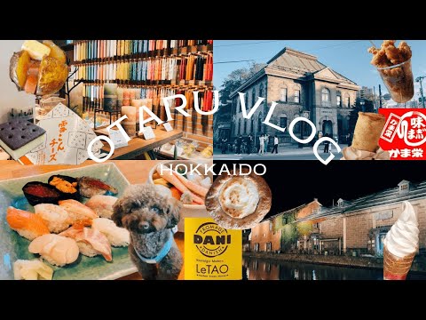 [110] ¿Cuánto comes? Viaje gastronómico en Otaru 🤣 | 2da noche en Hokkaido | Deliciosa comida gourmet de Otaru | Restaurante de sushi apto para perros 🍣 | Rokkatei | Kitakaro | LeTAO | Kamaei