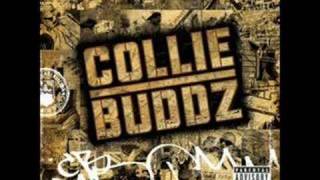 Collie Buddz - Blind To You