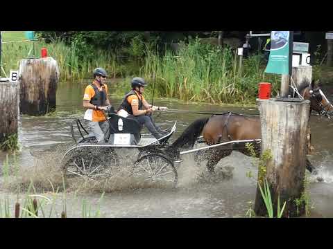 SIEBERS Saskia 2, NED, CAI2# Exloo, H1, Marathon Ob 2, 15 08 2020