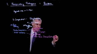 Transfer of respiratory pathogens: Bacteria