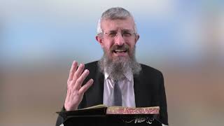 מסכת סנהדרין דף פד - 8 דקות של לומדות ועמקות בדרך הלימוד הישיבתית [sanhedrin 84]