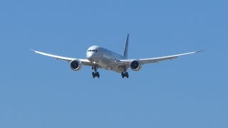 United Boeing 787-10 Dreamliner Gracefully Touches Down