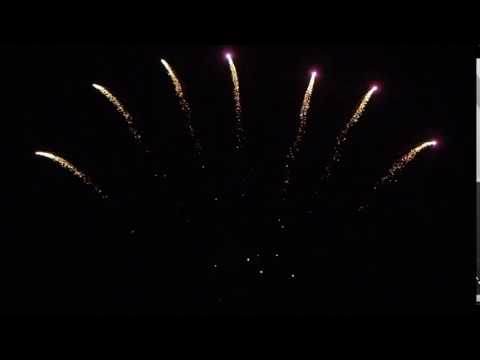 SR014 13 Shots Fan Shape Purple Wave Comet&Silver Blink Bouquet