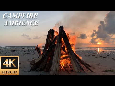 4K Campfire Ambience on a Beautiful Empty Beach in Dar-Es-Salaam - Relaxing Fire & Nature Sounds