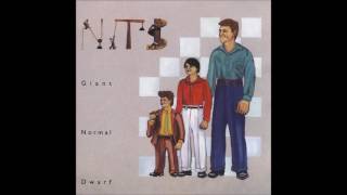 NITS king of belgium (1990 giant normal dwarf)