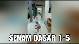 Download lagu Senam Dasar 1-5 mp3