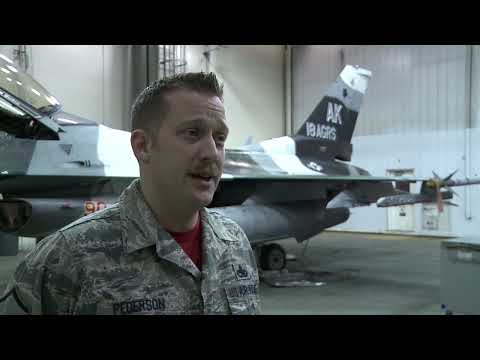 Aggressors Train Partners In Aerial Combat